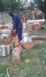 topsoil in a flower box